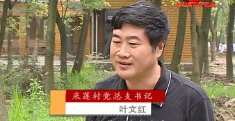 身边的共产党员：基层“领头人”——叶文红